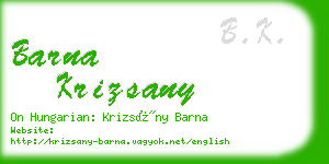 barna krizsany business card